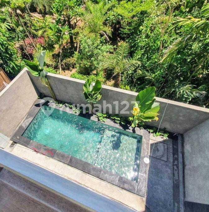 Alodia With Pool & Kitchen Villa *