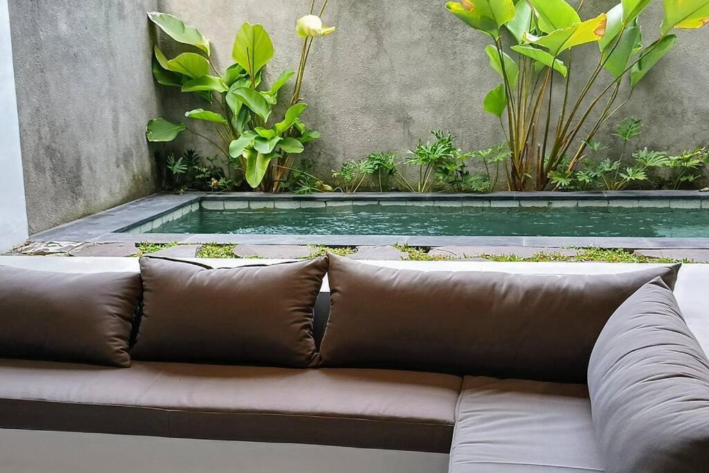 Alodia With Pool & Kitchen Villa *